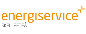 energi_skel_web