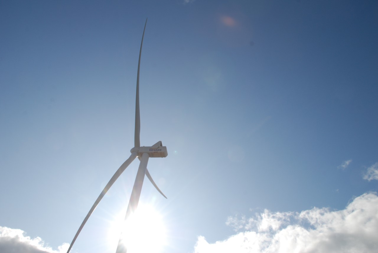 Ice Detection and Ice Protection Systems Wind Industry Survey (IEA Wind Task 19)